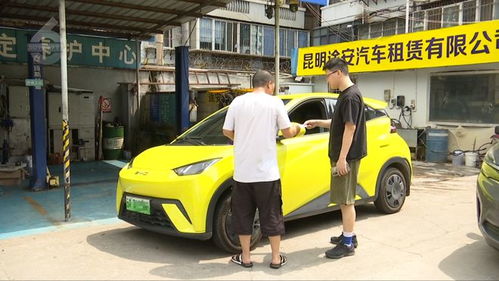 假日租車市場持續(xù)火熱，家庭出行與社交需求催生“國民神車”